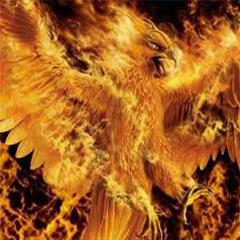 GRUPO TROLLS-EMPRESS FIORDOS 16-06-2012