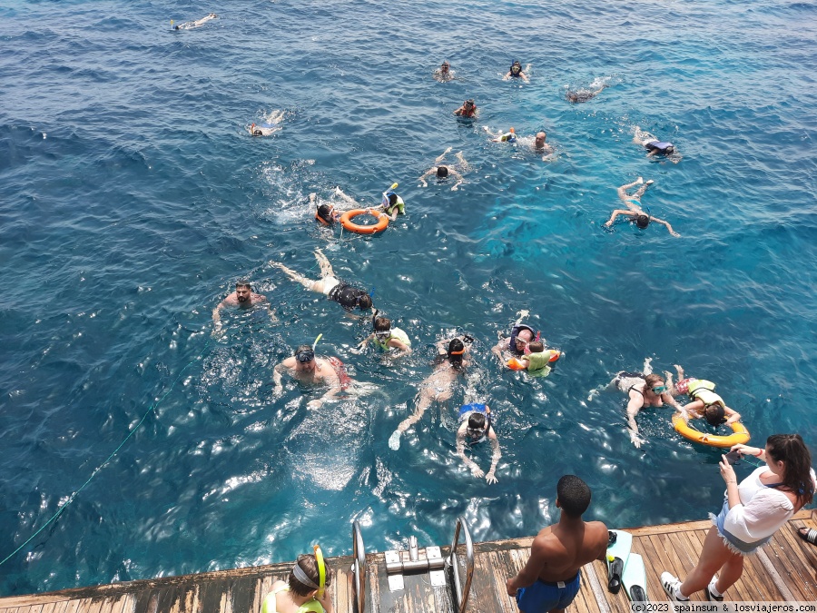 Opiniones Hoteles Resorts Hurghada 2023 en Egipto: Excursion en barco al arrecife de coral - Hurgada