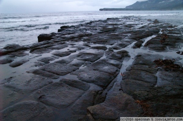 Viajar a Tasmania: que ver, alojamientos y clima - Australia - Foro Oceanía