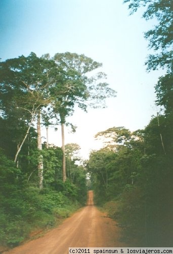 Selva Amazonica - Cobija
Selva amazónica cerca de la ciudad de Cobija
