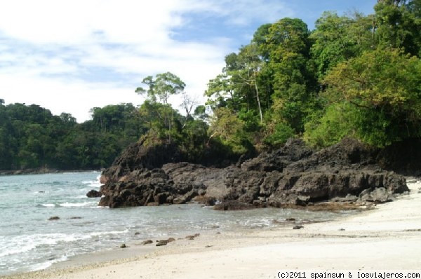 Playa en Parque Nacional de Manuel Antonio
Una de las bonitas playas del Parque Nacional de Manuel Antonio, bañada por el Pacifico.
