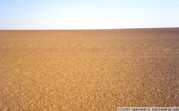 Desierto pedregoso - Sahara
La mayor parte del desierto, no es arenoso, sino pedregoso. Paisaje de piedrecitas hasta el infinito cerca del oasis de Benichab. Nada llama la atención, excepto la homogeneidad.
