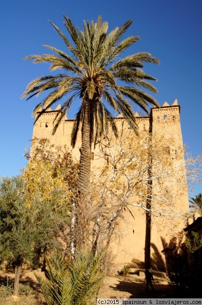 Kasbah de Ait Abou - Skoura
En el palmeral de Skoura podemos ver docenas de Kasbahs, en diferente estado de conservación. Una de las mas altas es esta de kasbah de Ait Abou, aunque es difícil de llegar hasta ella. Desde su torre tendremos magnificas vistas del palmeral.
