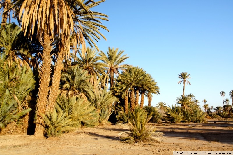 Skoura, el palmeral de las mil y una Kasbahs