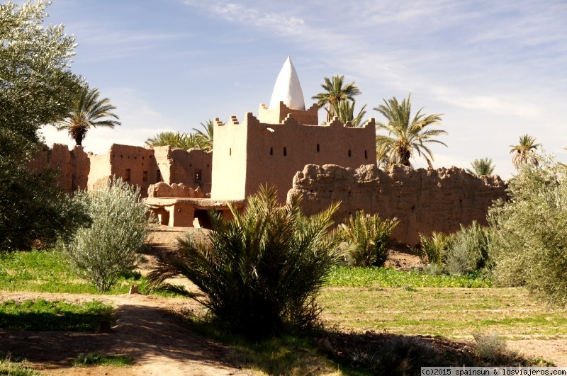Palmeral de Skoura, Marruecos - PALMERAS EN EL MUNDO p76239