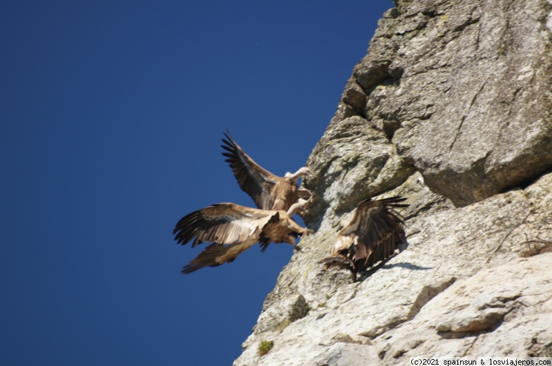 Escapada a Parque Nacional de Monfragüe (Cáceres) - Foro Extremadura