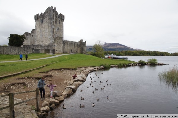 Castillo de Ross - Killaney
Castillo de Ros, el embrión de poder que dio origen a la ciudad.
