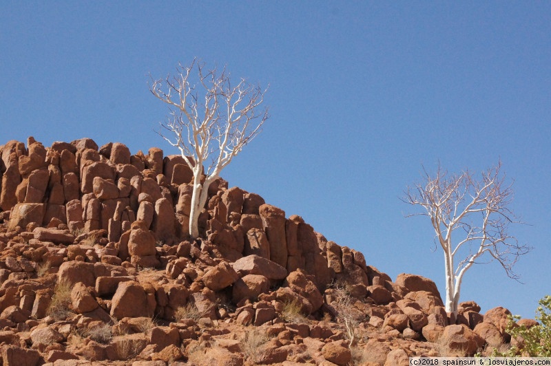 De Spitzkoppe a Twyfelfontein - Namibia: 9 días de aventura africana con niños (5)