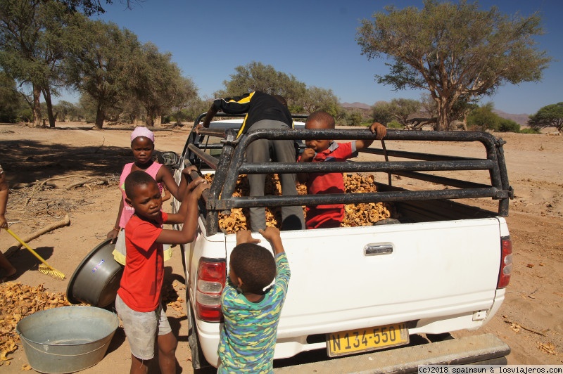 Twyfelfontein: en busca de los Elefantes del Desierto - Namibia: 9 días de aventura africana con niños (3)