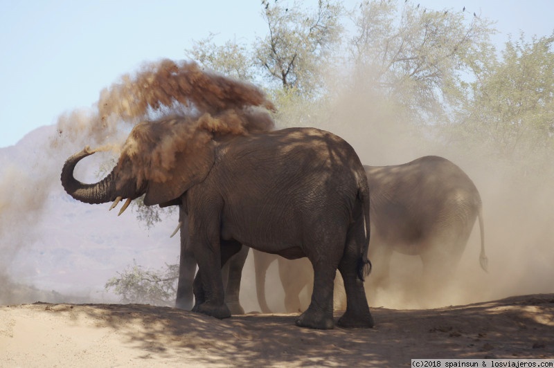 Twyfelfontein: en busca de los Elefantes del Desierto - Namibia: 9 días de aventura africana con niños (5)