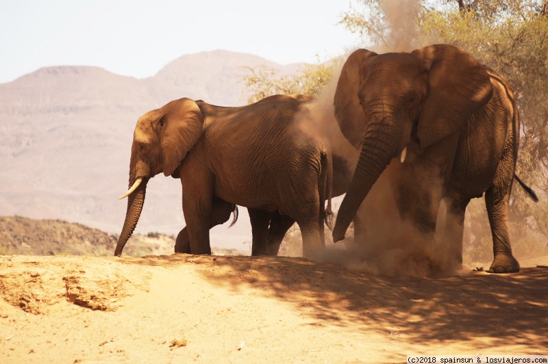 Twyfelfontein: en busca de los Elefantes del Desierto - Namibia: 9 días de aventura africana con niños (4)
