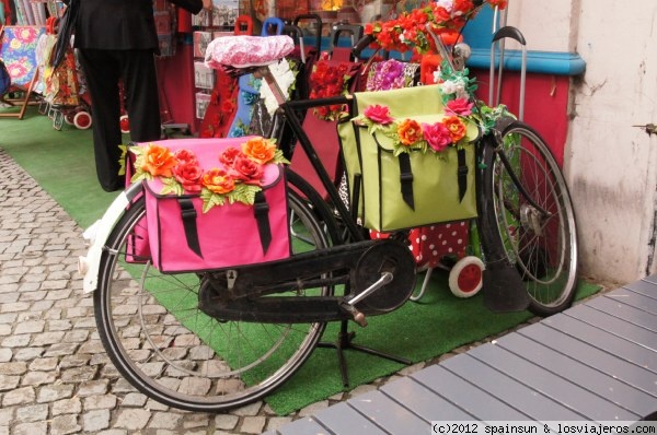 Cicloturismo en Flandes: bicicletas, rutas, alquiler (1)