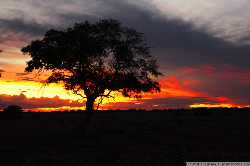 Okaukuejo, Etosha: La noche que vino a cenar la cobra y la tormenta perfecta - Namibia: 9 días de aventura africana con niños (2)