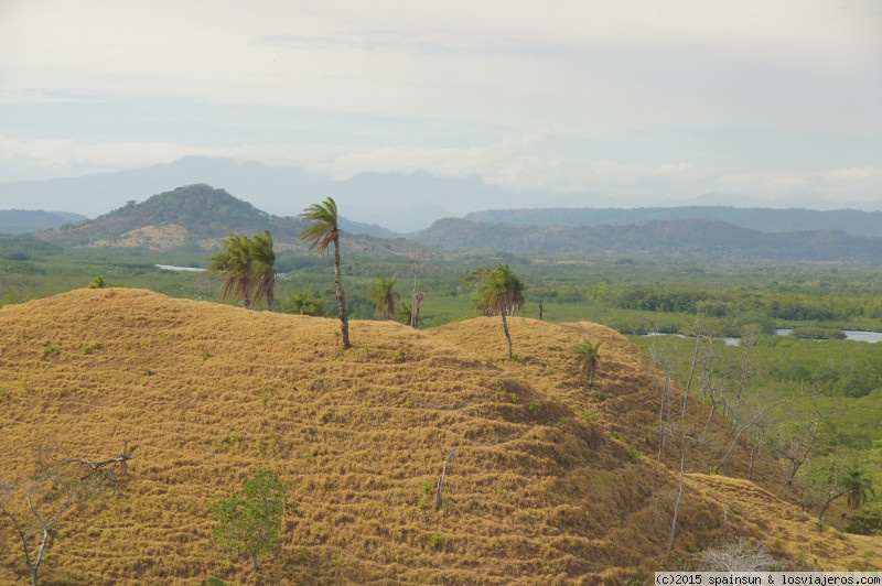 Viajar a  Panama: Amarilla - Paisaje de finca ganadera de las tierras bajas de Chiriqui (cerca de Boca Chica) (Amarilla)