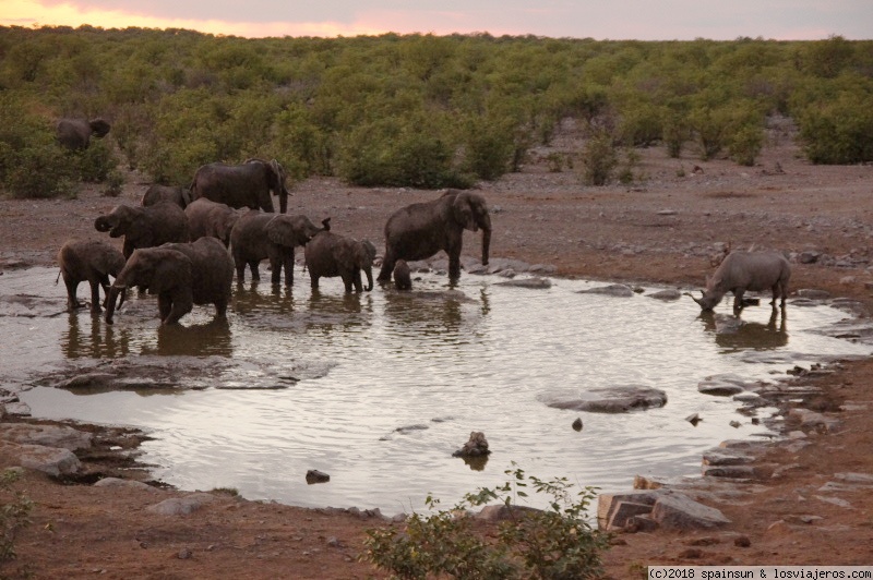 Atardecer inolvidable en Halali - Namibia: 9 días de aventura africana con niños (3)