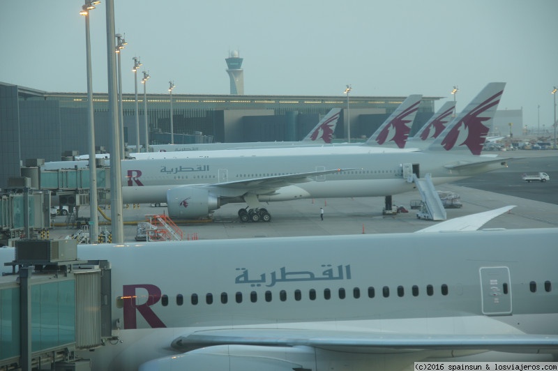 Viajar a  Qatar - Aeropuerto de Doha, pistas con aviones de Qatar Airways