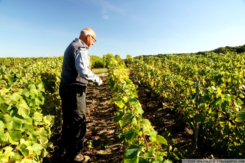 Champán: sobre vinos espumosos y excursiones por los viñedos de la Champagne (1)