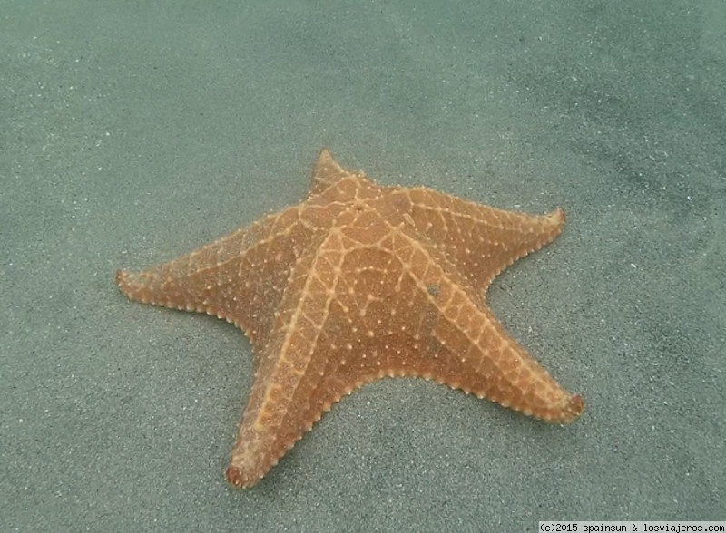 Secretos Bajo el Mar en Centroamérica (1)