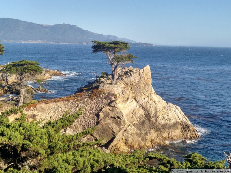 Foro de MONTEREY en Costa Oeste de USA: Lone Stands Cypress - 17-Mile Drive - Monterey, California