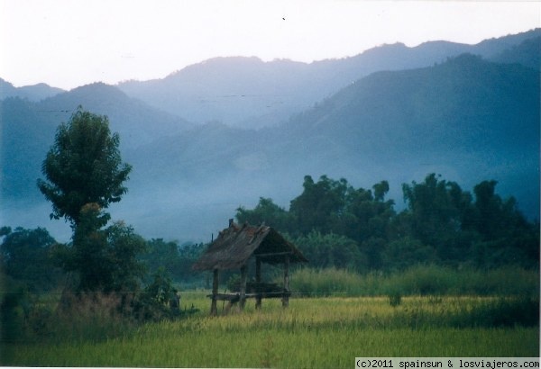 Amanecer en el Norte de Laos
Paisaje al amanecer entre campos de arroz.
