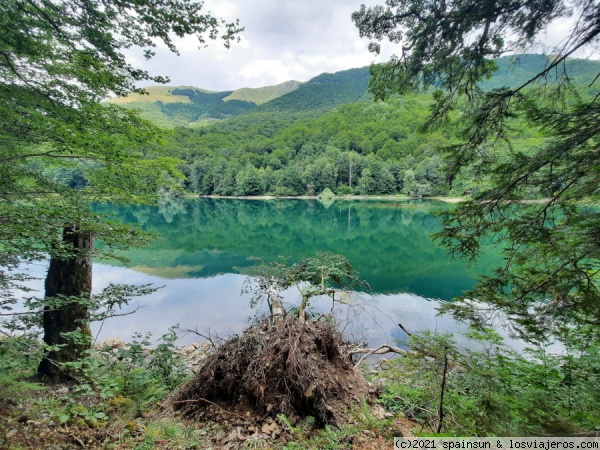 Parque Nacional de Biogradska Gora
El parque de Biogradska es el primer parque nacional que se creó en Montenegro. Biogradska Gora es un bello parque rodeado de montañas, bosques espesos y con uno de los lagos más fotografiados del país.
