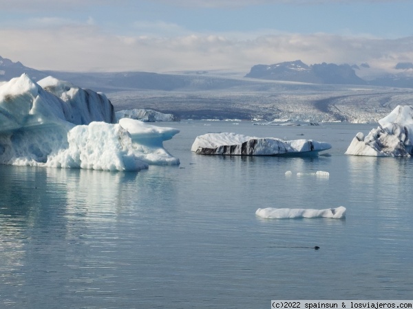 Lago glaciar Jokulsarlon - Vatnajokull NP, Sur de Islandia
Jökulsárlón es el mayor y más conocido lago glaciar de Islandia. Está situado en el extremo sur del glaciar Vatnajökull, entre Vik, el Parque nacional Skaftafell y la ciudad de Höfn.
