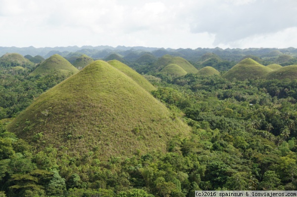 Colinas de Chocolate - Carmen, Bohol
Colinas de Chocolate uno de los paisajes más famosos de Filipinas. Son cientos de colinas cónicas que en época seca se tornan de color marrón por la hierba seca.
