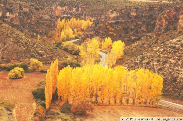 El Otoño en todo su esplendor - Hoces del Río Gritos - Cuenca
Esplendor de los colores del otoño, hoy en las hoces del río Gritos, visto desde un mirador de la ciudad romana de Valeria.
