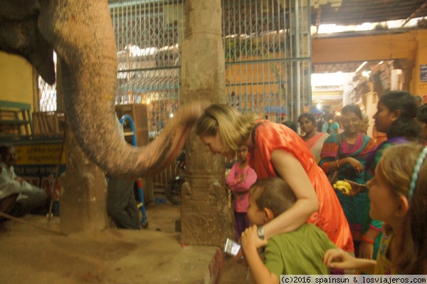 Bendecidos por el elefante, Templo de la Roca de Trichy
Bendecidos por el elefante en la puerta de entrada a la escalinata que subre al Templo de la Roca en Trichy. Asegura la buena suerte.
