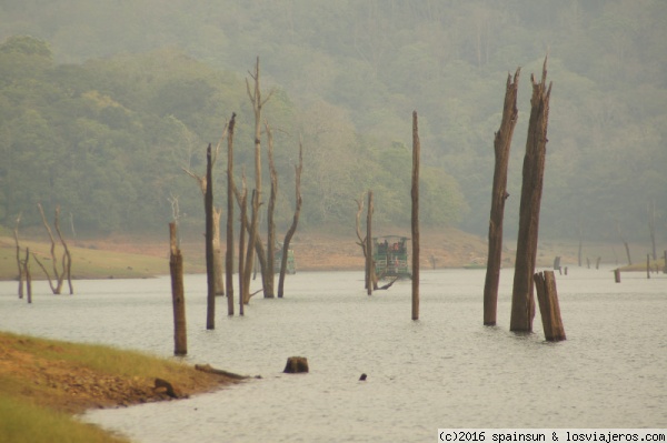 Thekkady y P.N. de Periyar: por las montañas de Kerala - Aventura por el Sur de la India con Niños Pequeños (4)