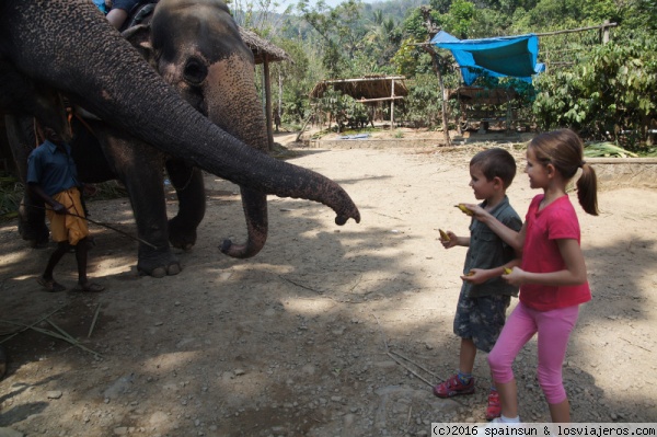 Thekkady y P.N. de Periyar: por las montañas de Kerala - Aventura por el Sur de la India con Niños Pequeños (7)