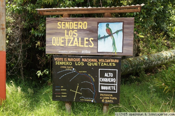 Comienzo de la famosa ruta de los Quetzales - Boquete- Volcan Barú
Aquí comienza la famosa ruta de senderismo de Los Quetzales, una ruta durilla por los exuberantes bosques de las faldas del Volcan Barú.
