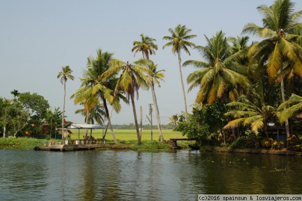 Palmeras, agua y arroz -Paisaje de las Backwater
Los elementos típicos del paisaje de las backwaters.
