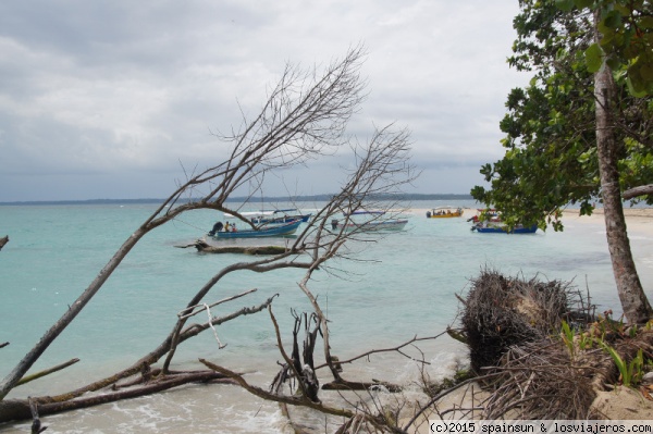 Playas turquesa en Cayo Zapatilla - Bocas del Toro
EL mar se torna turquesa en Cayo Zapatilla. Al fondo las barcas que trasladan a los turistas.
