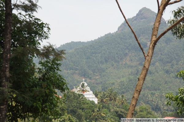 Munnar: Montañas, Plantaciones de Te y Especias - Aventura por el Sur de la India con Niños Pequeños (1)