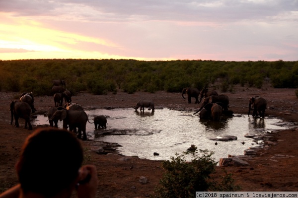 Espectadores y los elefantes en Halali - Etosha
Espectadores admirando el atardecer y los elefantes, desde el puesto de observación de la charca de Halali - Etosha
