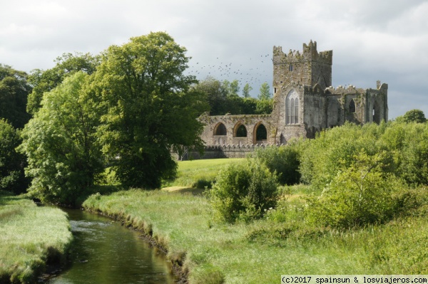 Wexford: entre Abadías y Faros - Ruta por el Este Ancestral de Irlanda (5)