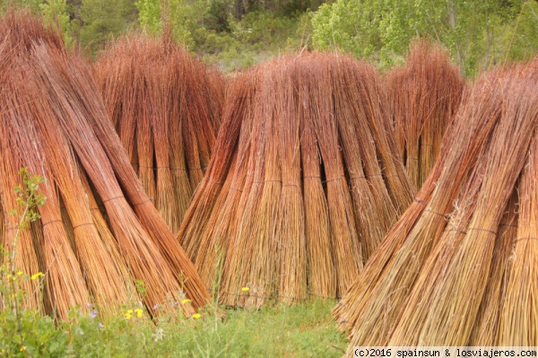 Haces de Mimbre - Serrania de Cuenca
El mimbre es una de las plantas tipicas de la Serranía.
