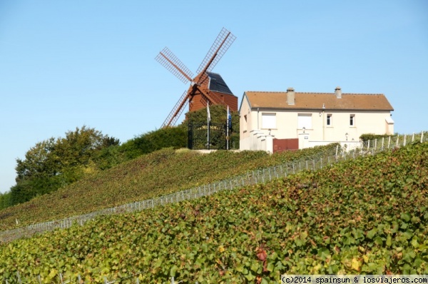 Champán: sobre vinos espumosos y excursiones por los viñedos de la Champagne (3)