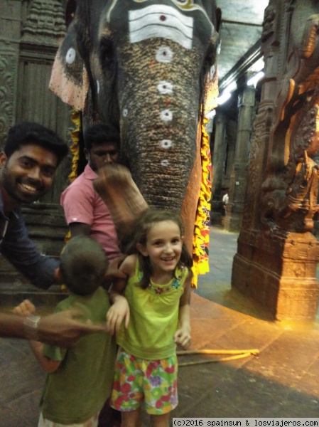 Madurai y Templo Sri Meenakshi Amman... palabras mayores. - Aventura por el Sur de la India con Niños Pequeños (4)
