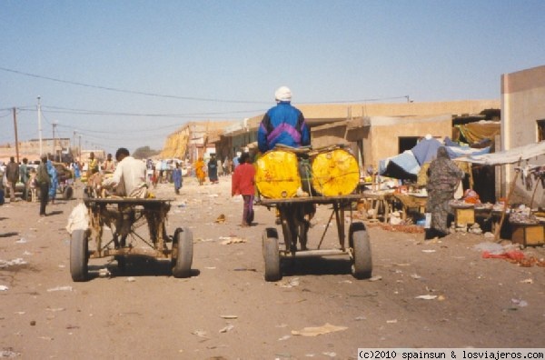 Calles de Nouachott
Burros circulando por las calles de la capital de Mauritania.
