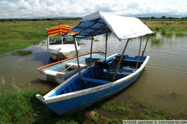 Barcas para las excursiones por el lago Chamo
Barcas para hacer las excursiones por el lago Chamo: ver cocodrilos, pajaros o hipopotamos
