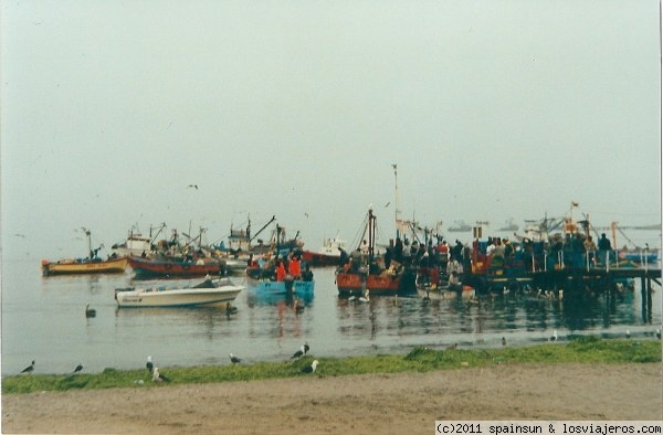 Puerto de Paracas
Pequeño puerto pesquero en la bahía de Paracas. Desde aqui salen tambien los barcos a las Islas Ballesta.
