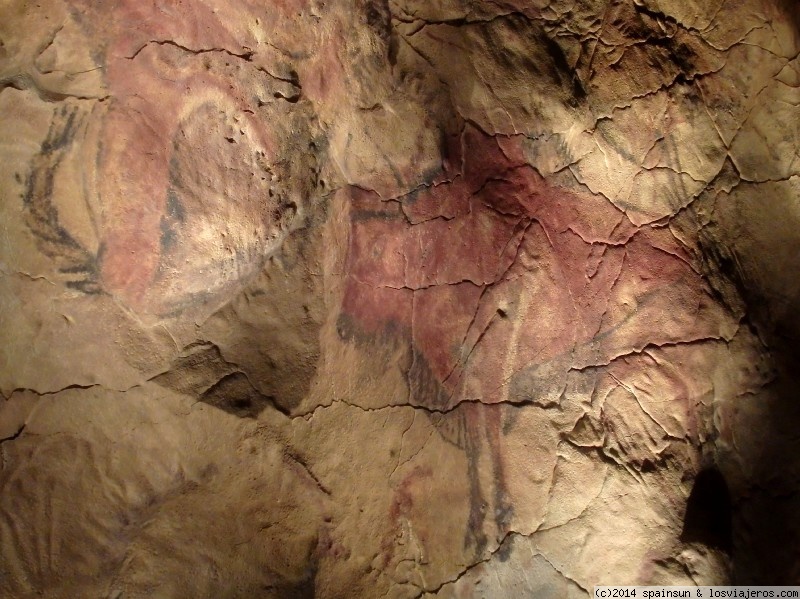 Forum of Cueva De Altamira: Reproducción de la Cueva de Altamira - Museo Arqueológico Nacional - Madrid