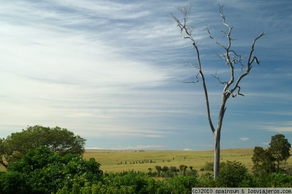 Parque Nacional de Isalo - Madagascar - Foro África del Este