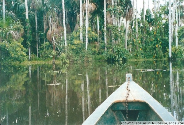 Navegando por el Lago Sandoval - Amazonas
Navegando en Canoa por el lago Sandoval.
