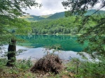 Parque Nacional de Biogradska Gora
Montenegro, Biogradska Gora, Parque Nacional
