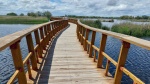 Ruta de senderismo por el parque Nacional de las Tablas de Daimiel
Tablas de Daimiel, parque Nacional, Ciudad Real
