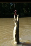 Brisbane y Fraser Island, 6 al 8 de Agosto de 2012.