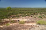 P. N. Kakadu - Territorio del Norte